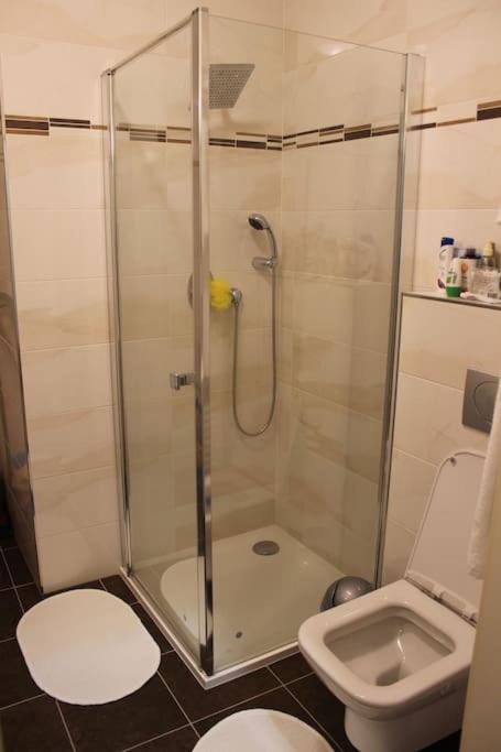 Prague Vysehradska Apartment Apartamento Praga